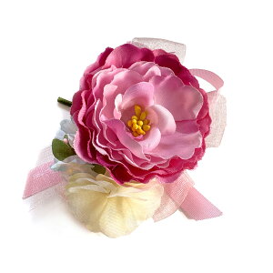 ͂ޓF̃RT[W i (1) Ǝ w   ԏ q l \ k 搶 ی