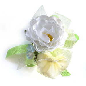 ͂ޓF̃RT[W i (1) Ǝ w   ԏ q l \ k 搶 ی