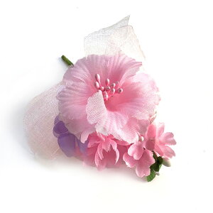 RT[W AUAƏԂ̃n[j[ i (1) Ǝ w   ԏ q l \ k 搶 ی