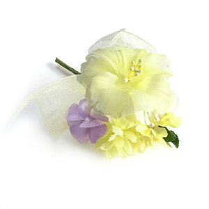 RT[W AUAƏԂ̃n[j[ i (1) Ǝ w   ԏ q l \ k 搶 ی