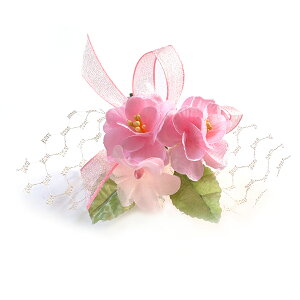 ̃RT[W i (1) Ǝ w   ԏ q l \ k 搶 ی