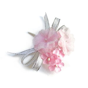 ߂ RT[W i (1) Ǝ w   ԏ q l \ k 搶 ی