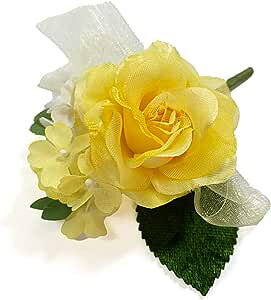 RT[W ̃o Te[Y i (1)  Ǝ w  q l \ ԏ 