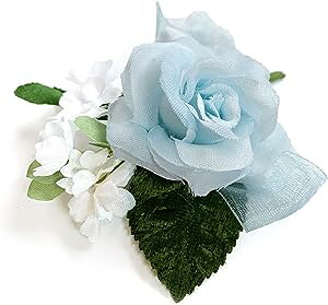 RT[W ̃o Te[Y i (1)  Ǝ w  q l \ ԏ 