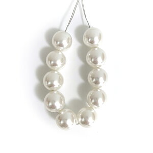 p[10mm 10 s̃r[Y|ANZT[ bsO