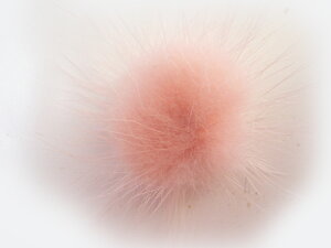 {~Nt@[{{M 2.5cm`5cmi1jij }V