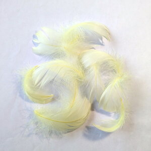 H p[c RL[(10) 13`10cm H p[c tFU[ |ޗ p[c i`ȑf