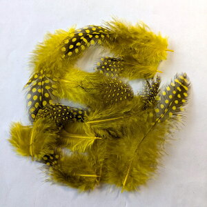 H p[c zzi10) 13`10cm tFU[H p[c p[c | i`f ANZT[