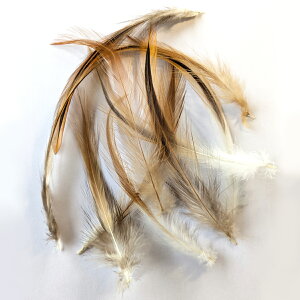 H p[c { c сi10)ii`j 17`16cm 36 H p[c tFU[ |ޗ p[c