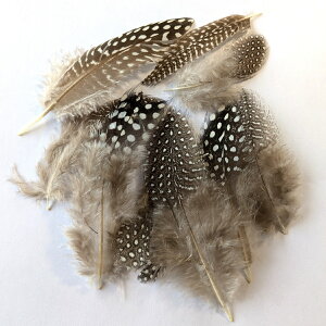 羽 パーツ ホロホロ 腹毛(ナチュラル)(10枚)1枚3〜10cm #241 羽 パーツ根 フェザー 手芸材料 パーツ コサージュやアクセサリーに