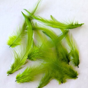 H p[c nbN  (10) H p[c tFU[ |ޗ p[c i`ȑf bsOc[