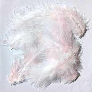 H p[c }{[(10) H p[c tFU[ |ޗ p[c