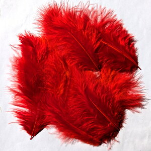 H p[c }{[(10) H p[c tFU[ |ޗ p[c