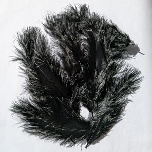 H p[c }{[(10) H p[c tFU[ |ޗ p[c