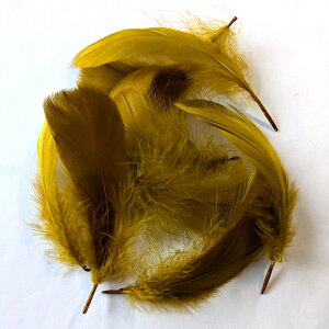 H p[c iSA(10) 17`15cm H p[c tFU[ |ޗ p[c i`ȑf