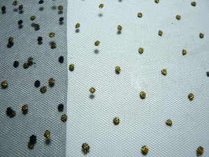 A[gt[pn ʃ`[i1mj ɉԉłԂ③Ԃ̃u[PɎghbg