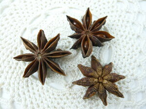 X^[AjX N 3cmi1ܖ20j21020-000 i`   VRf ԍ hCt[