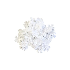 Ԃт ӂ݂̂ i60)   t[V[ t[y^