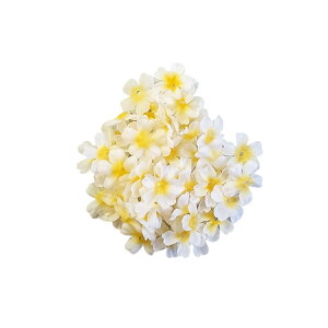 Ԃт ӂ݂̂ i60)   t[V[ t[y^