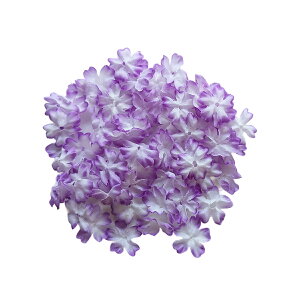 Ԃт t@V[ iOڂji60j   t[V[ t[y^