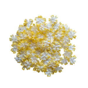 Ԃт t@V[ iOڂji60j   t[V[ t[y^