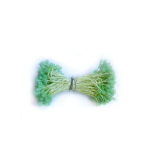 ybv Ԑc ԍ KX   i150{j RY ߂ ׂɂȂ  A[gt[ bsO |ޗ