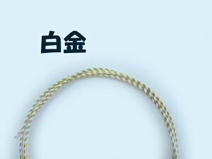  XJVi10{j iȂj ޗ f ׍H jV₨A