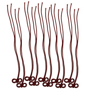  R ߂ˌ (d) 10{Zbg (110{) S15F