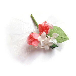 RT[W XC[g[Y i 1  Ǝ w  q l \ ԏ  1/2l