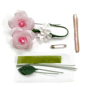 RT[W  Lbg ȒPI    w  o2