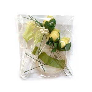 RT[W  Lbg ȒPI    w  ̃Gbap[{