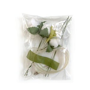 RT[W  Lbg ȒPI    w  ̃Gbap[{