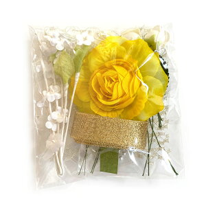 RT[WLbg  ȒPI    w  vỏ؂₩ȃp[