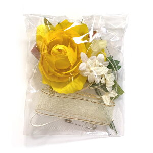 RT[W  Lbg ]̃o ȒPI    w