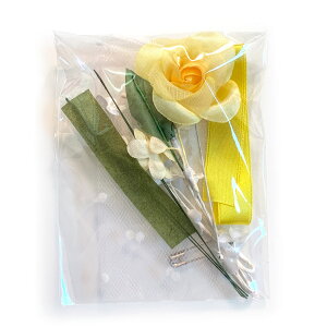 RT[W  Lbg ȒPI    w  K̉FƃsÑ{