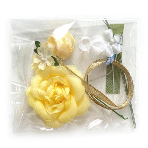 RT[W  Lbg ȒPI    w  {ƃo