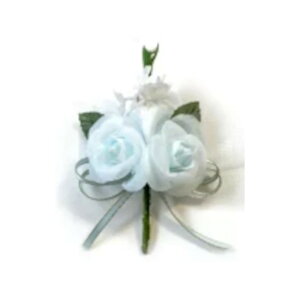 RT[W w q o2 i (1)  Ǝ  qp \ ԏ 