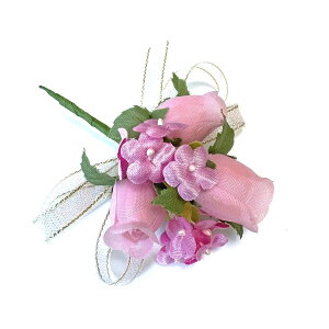 RT[W ̃GbWp[{ i (1) ԏ  Ǝ w   21l