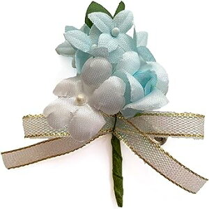 RT[W ƍK i (1)  Ǝ w  q l \ ԏ  1/2l