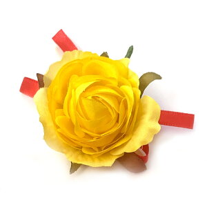 RT[W Ǝ k w̃o i (1)   ԏ 