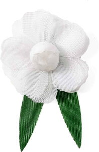 RT[W  q v`o i 1 ԏ  Ǝ w 