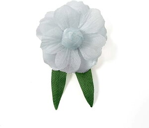 RT[W  q v`o i 1 ԏ  Ǝ w 