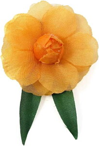 RT[W  q v`o i 1 ԏ  Ǝ w 