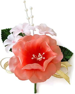 RT[W Ȃ i (1)  Ǝ w  q l \ ԏ  1/2l