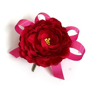 RT[W Ǝ w K̎F i (1)   ԏ q l \ k 搶 ی