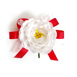 RT[W Ǝ w K̎F i (1)   ԏ q l \ k 搶 ی