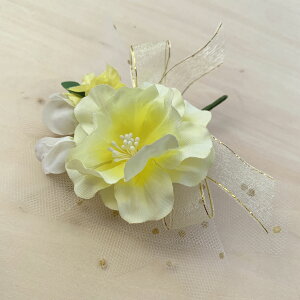 RT[W Ǝ w I[h[Y i (1)   ԏ q l \ k 搶 ی