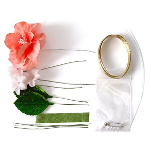 RT[W  Lbg Ȃ    w \ ԏ 