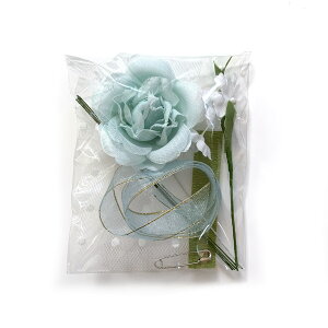 [Yt@^W[̃RT[W Lbg  ȒPI    w  ԁI