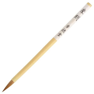  M וM 閾 ARS-07